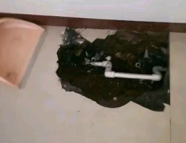 团风卫生间测漏水多少钱